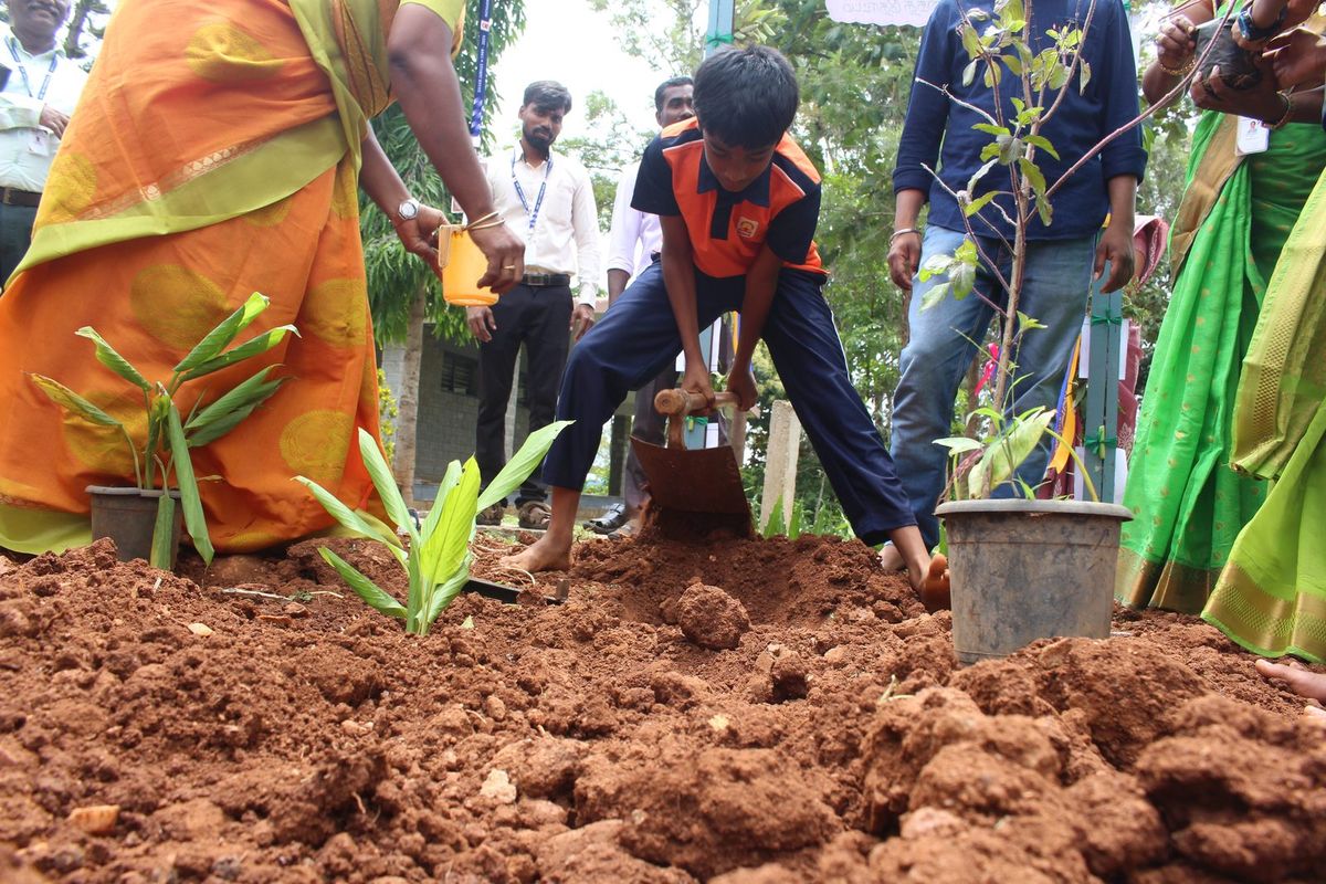A student setting a young plant into the soil while a teacher helps