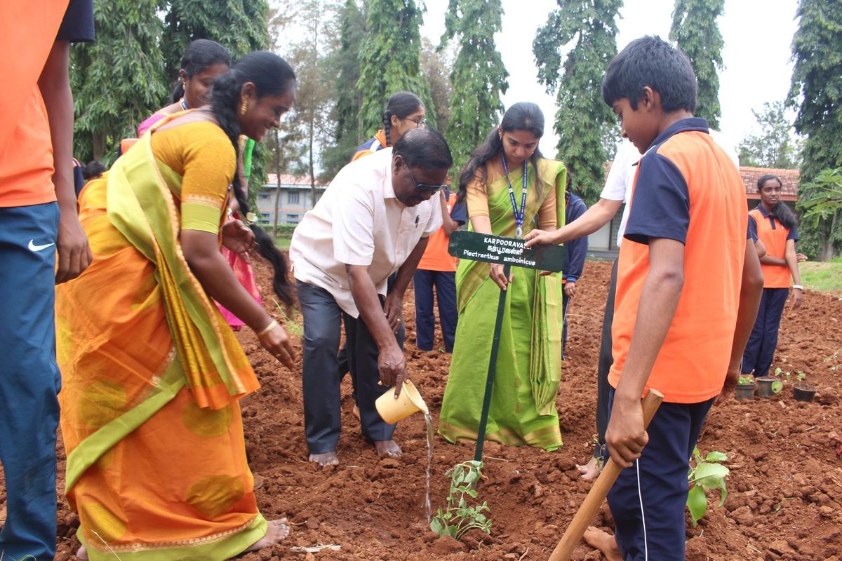 Staff and students watering a newly planted sapling