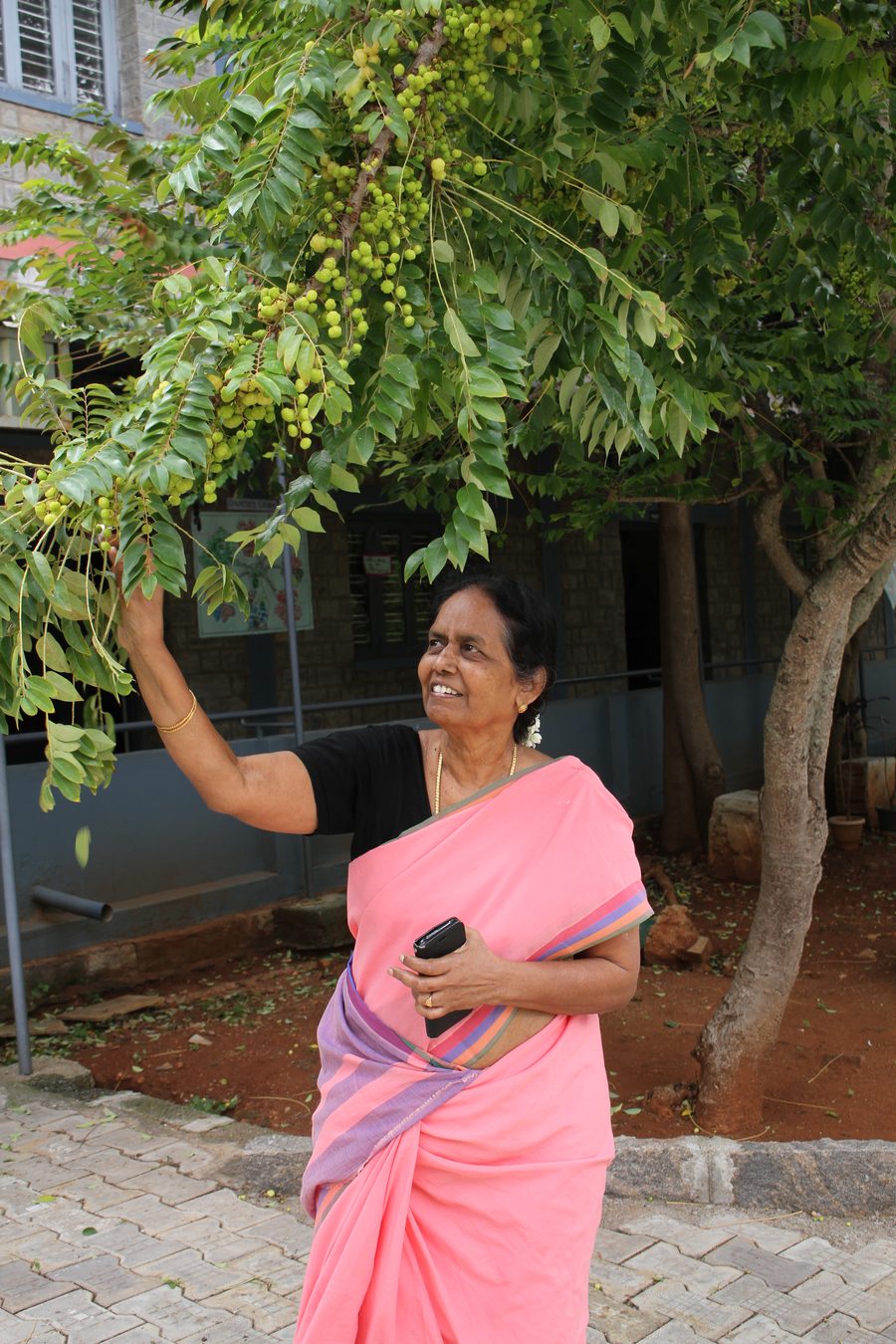 Mrs. Prema Meru (Amma) smiling and reaching up to a fruiting tree on the MMS campus