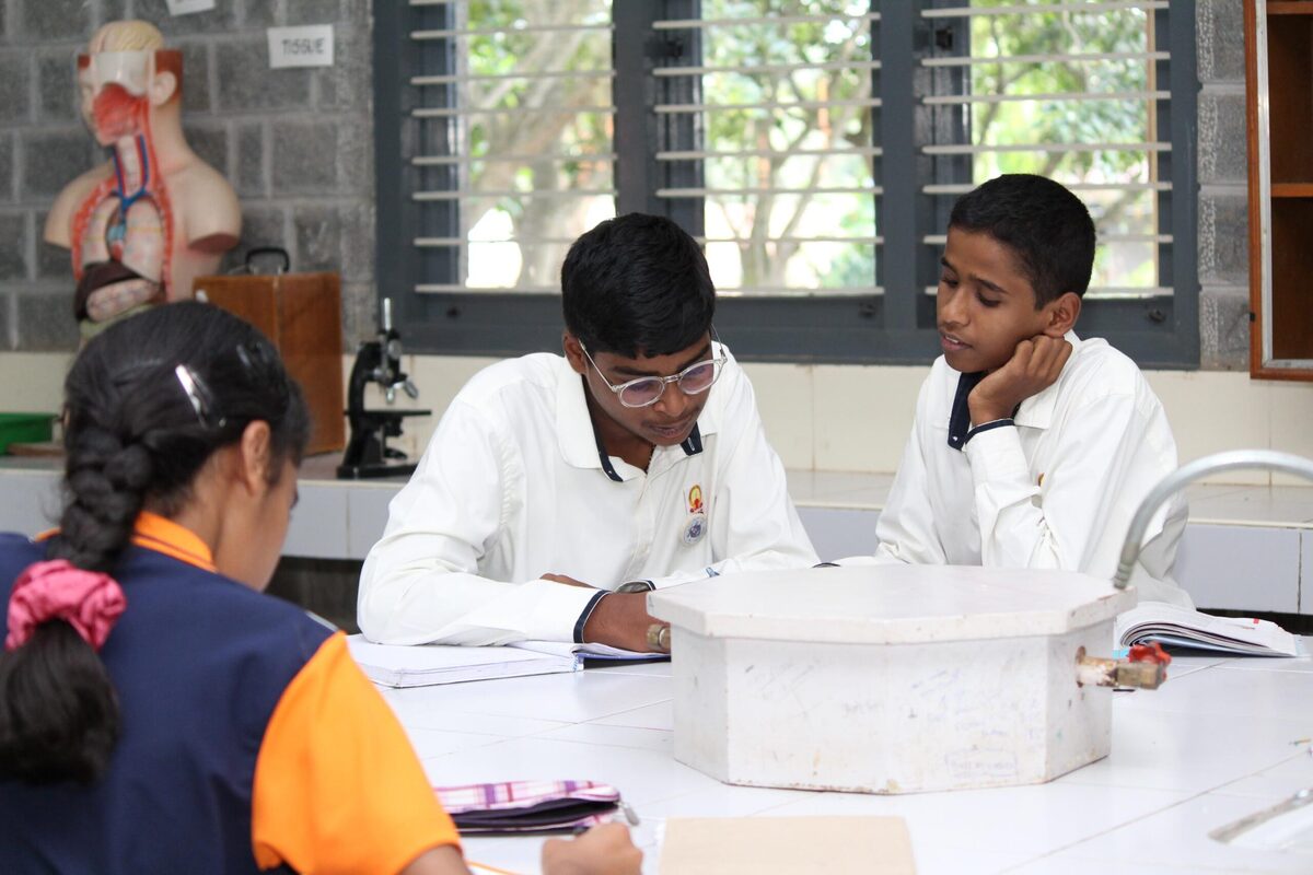 Students working at the anatomy corner of the Biology Lab
