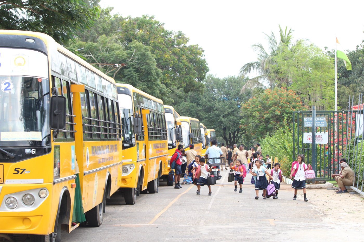 Young students with school bags walking beside the line of yellow school buses